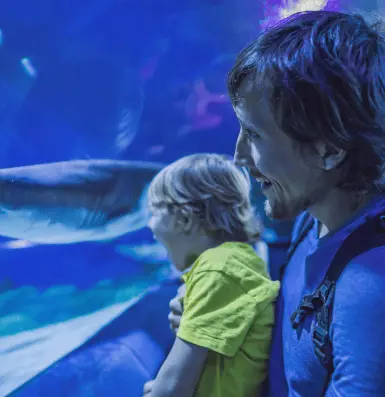 A man and a child in swim gear are submerged underwater, enjoying a playful moment together in a vibrant aquatic environmen